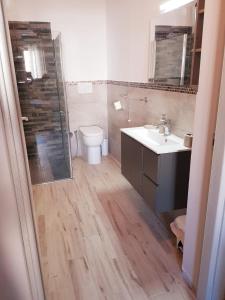 托斯卡尼亞的住宿－LA PICCOLA DEPENDANCE，带淋浴、卫生间和盥洗盆的浴室