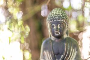 a statue of a buddha in front of a tree at Casita Collado 3 in Alájar