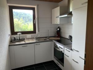 a small kitchen with a sink and a window at Schlossblickwohnung Schiel in Gernsbach