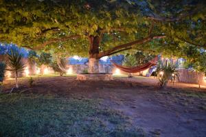 Vonkajšia záhrada v ubytovaní Family Villa Kalypso