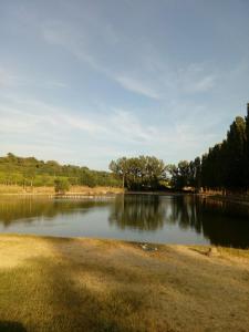 vistas a un lago con árboles en el fondo en Antica dimora figli di Bocco, en Castiglion Fibocchi
