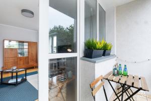 Fotografia z galérie ubytovania Apartament Gryf w sercu Szczecina-SANNEL Apartments for rent v Štetíne