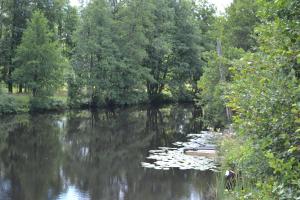 une rangée de nénuphars sur une rivière avec des arbres dans l'établissement Lust Huset, à Ambjörnarp