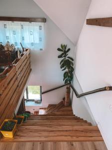 a staircase with a potted plant in a room at N'konak Guesthouse in Pukë