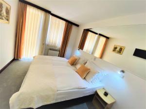 ヴィンコヴツィにあるHotel Slavonijaのギャラリーの写真