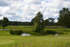 un parcours de golf avec un étang au milieu d'un green dans l'établissement Lust Huset, à Ambjörnarp