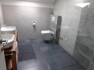 La salle de bains est pourvue de toilettes, d'un lavabo et d'une douche. dans l'établissement VILLA LAURA, à Grebaštica