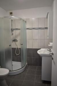 La salle de bains est pourvue d'une douche, de toilettes et d'un lavabo. dans l'établissement VILLA LAURA, à Grebaštica