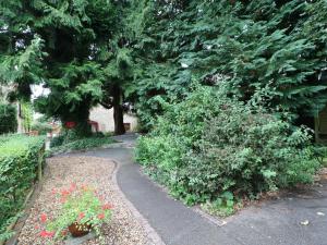 a path through a garden with trees and flowers at Honeysuckle Cottage in Richmond +17 photos
