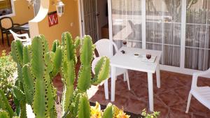 Gallery image of Apartamentos Loma Estrella in Arguineguín