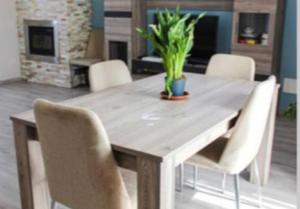 une table en bois avec des chaises et une plante en pot. dans l'établissement La Magnolia Apartments II, à Desenzano del Garda