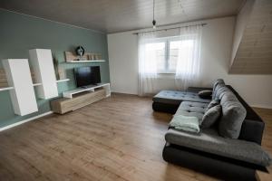 a living room with a couch and a television at Ferienwohnung Nallenblick in Gersfeld