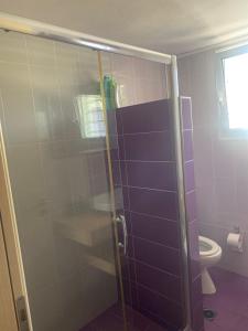 een badkamer met een glazen douche en een toilet bij Villa Evdokia in Katakolon