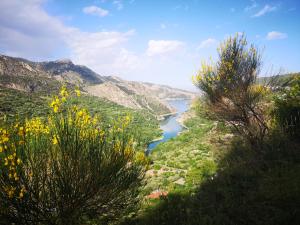 Paisaje cerca de esta casa o chalet