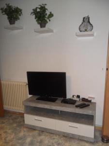 TV a/nebo společenská místnost v ubytování Ferienwohnung Feist