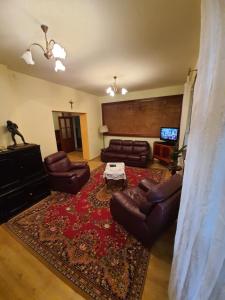 salon ze skórzanymi meblami i czerwonym dywanem w obiekcie Willa Widok w Nałęczowie