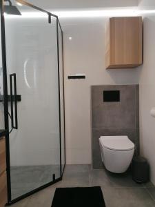 ein Bad mit einem WC und einer Glasdusche in der Unterkunft Apartament widokowy ul Bukowa Wisła in Wisła