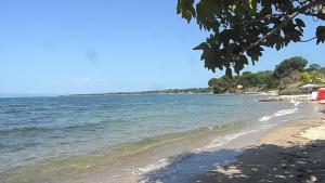 a beach with a tree and the water at House Anna Houhlia in Vourvourou