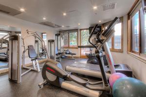 The fitness centre and/or fitness facilities at Torian Plum Plaza