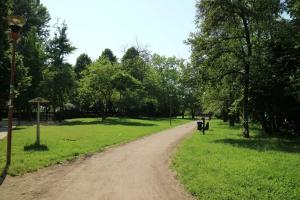 una strada sterrata in un parco con una mucca sull'erba di Monolocale Liola a Mestre