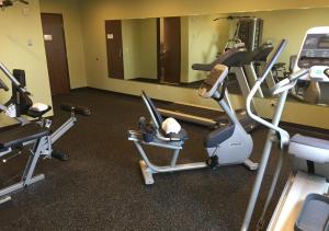 Fitness centrum a/nebo fitness zařízení v ubytování Timberlake Hotel