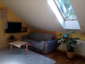 ein Wohnzimmer mit einem Sofa und einem TV in der Unterkunft Noclegi Po Rosie in Busko-Zdrój