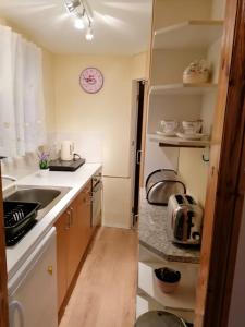 a small kitchen with a sink and a counter at Chalet Kiss of the Sea in Aberystwyth