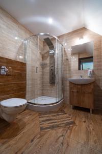 een badkamer met een douche, een toilet en een wastafel bij Apartamenty i Pokoje w Willi na Ubocy in Suche