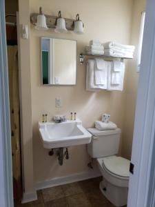 a bathroom with a sink and a toilet and a mirror at Blue Ridge Motel in Schroon Lake