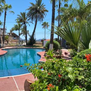 a swimming pool with palm trees and flowers at Hotel Hacienda Tetakawi in San Carlos