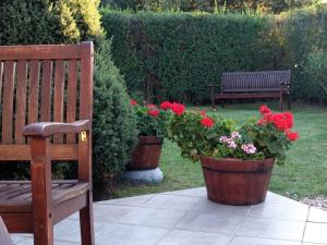 two pots of flowers and a bench in a garden at Erelia Cottage in Bük