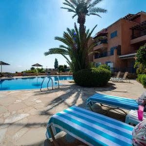 a blue bench next to a swimming pool with a palm tree at Tala Hills Sea view apartment in Paphos