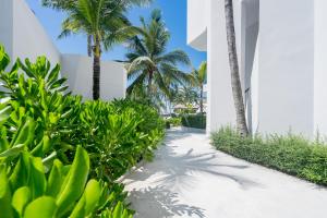 a pathway with palm trees and a building at La Vida Samui in Chaweng