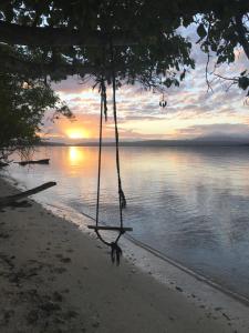 Moso IslandTranquility Island Eco Dive Resort的海滩上树上的秋千