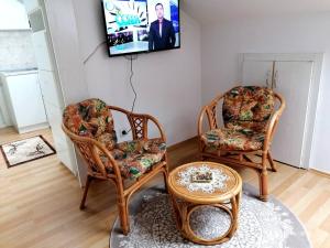 TV o dispositivi per l'intrattenimento presso Apartman Slavica