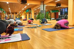 um grupo de pessoas fazendo uma pose de yoga no chão em aktiv Sporthotel Sächsische Schweiz em Pirna