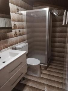 uma casa de banho com um WC, um chuveiro e um lavatório. em Hinterlammerain em Abtenau