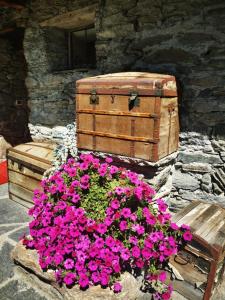 a pot of pink flowers sitting next to a chest at Maison Le Cler in Valtournenche