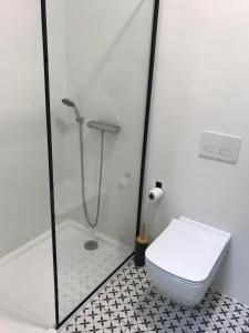 ein Bad mit einer Dusche, einem WC und einem Waschbecken in der Unterkunft Rudle in Świerkocin