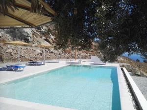 a large swimming pool with chairs and umbrellas at Bouganville Bed & Breakfast Stegna in Archangelos