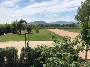 a garden with trees and a dirt road at La Gatille in Villié-Morgon