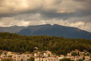 a view of a city with mountains in the background at Marpessa Hotel & Spa in Agrinion