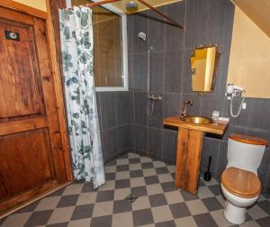 La salle de bains est pourvue de toilettes, d'un lavabo et d'une douche. dans l'établissement Baltā māja, à Pilsrundāle