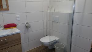 a white bathroom with a toilet and a sink at Haus Alpina in Längenfeld
