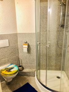 a bathroom with a toilet and a glass shower at #WORLD Privat Wohnung in Schkeuditz