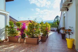 Κήπος έξω από το Masciara Home - Apartment & Suite fra Taormina, Catania ed Etna