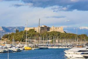 Un mucchio di barche in un porto turistico con un castello di Port Vauban appartement F3 refait à neuf a Antibes