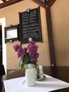 Fotografie z fotogalerie ubytování U Námořníka-Restaurant a penzion v Hukvaldech