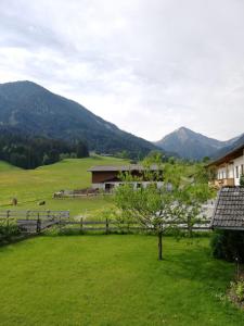 Táj Show holiday homes közelében