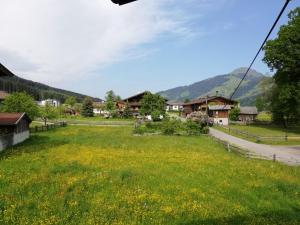 Táj Show holiday homes közelében